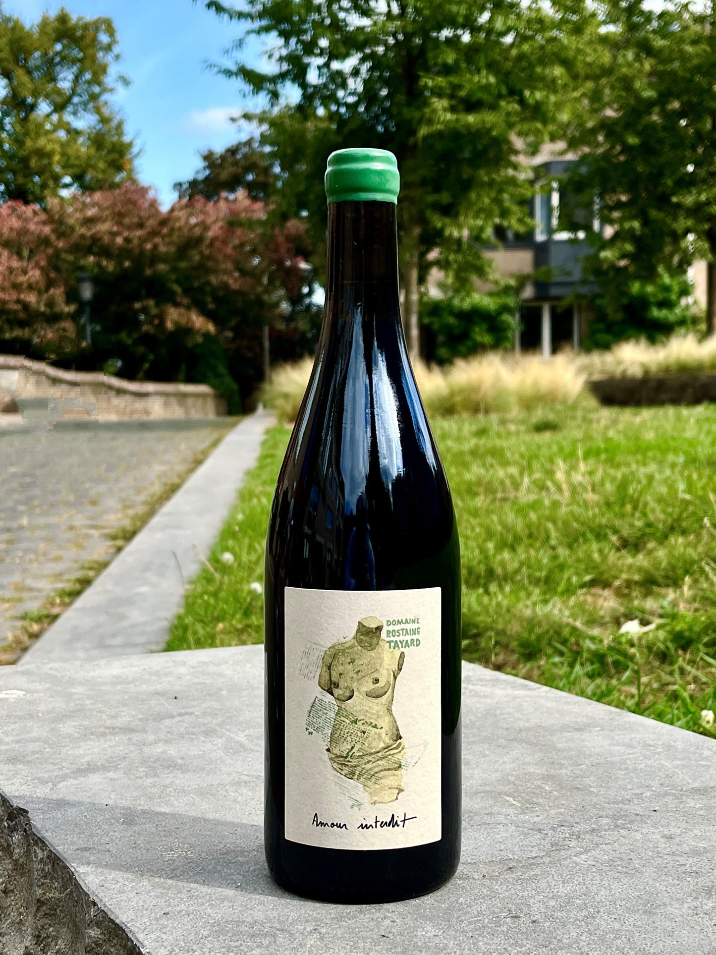 Domaine Rostaing Tayard - Amour Interdit Rouge (BIO)