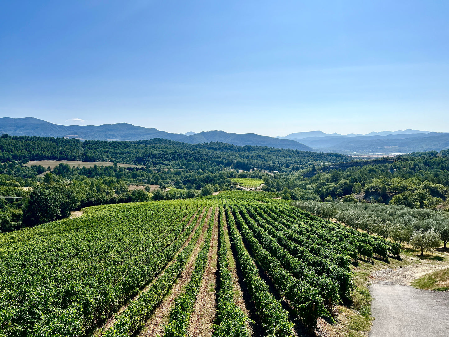 Domaine Des Bergeries - Cuveé Les Bories Rosé 2023 (BIO)