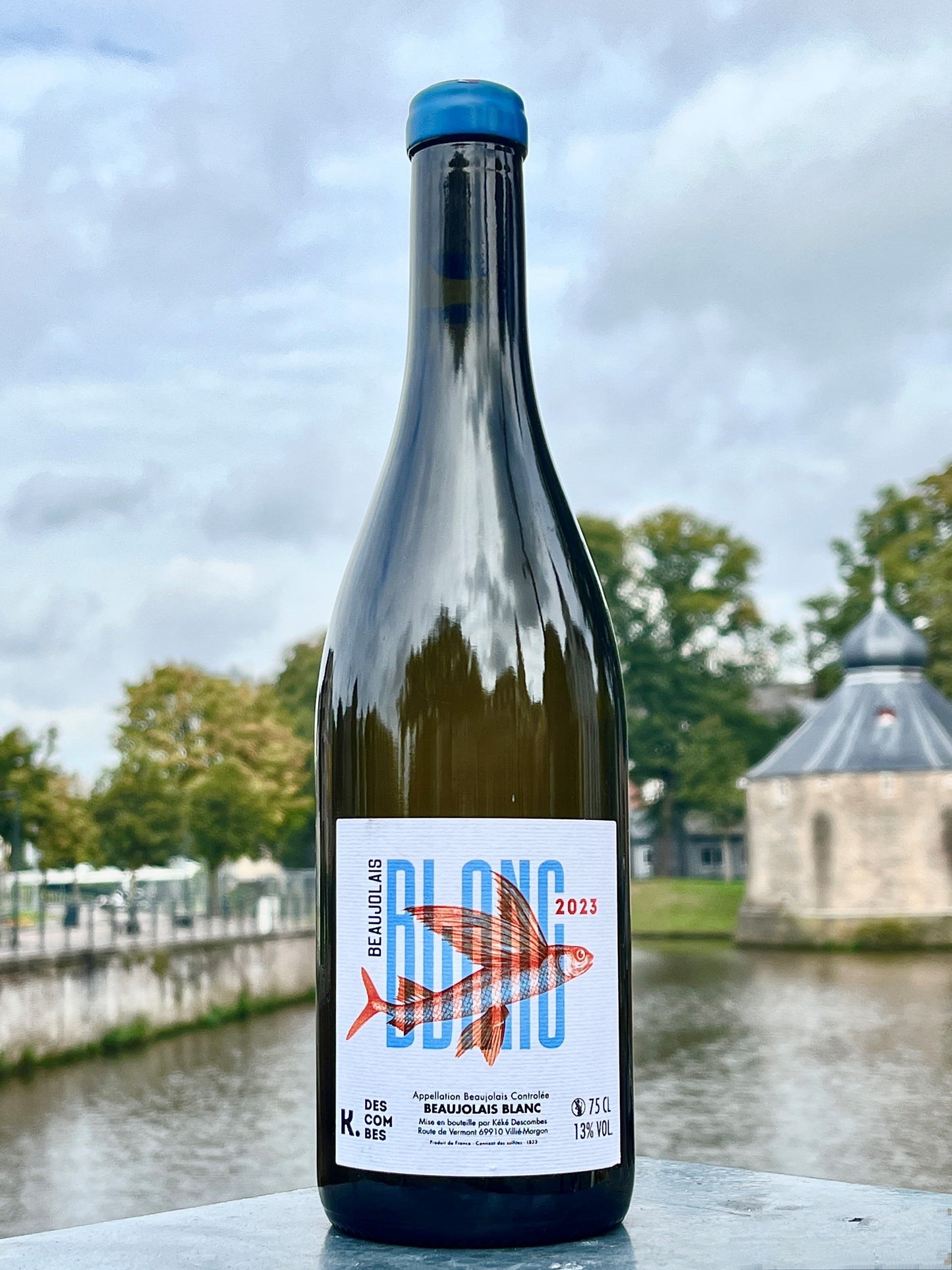 Kéké Descombes - Beaujolais Blanc 2023 (BIO)
