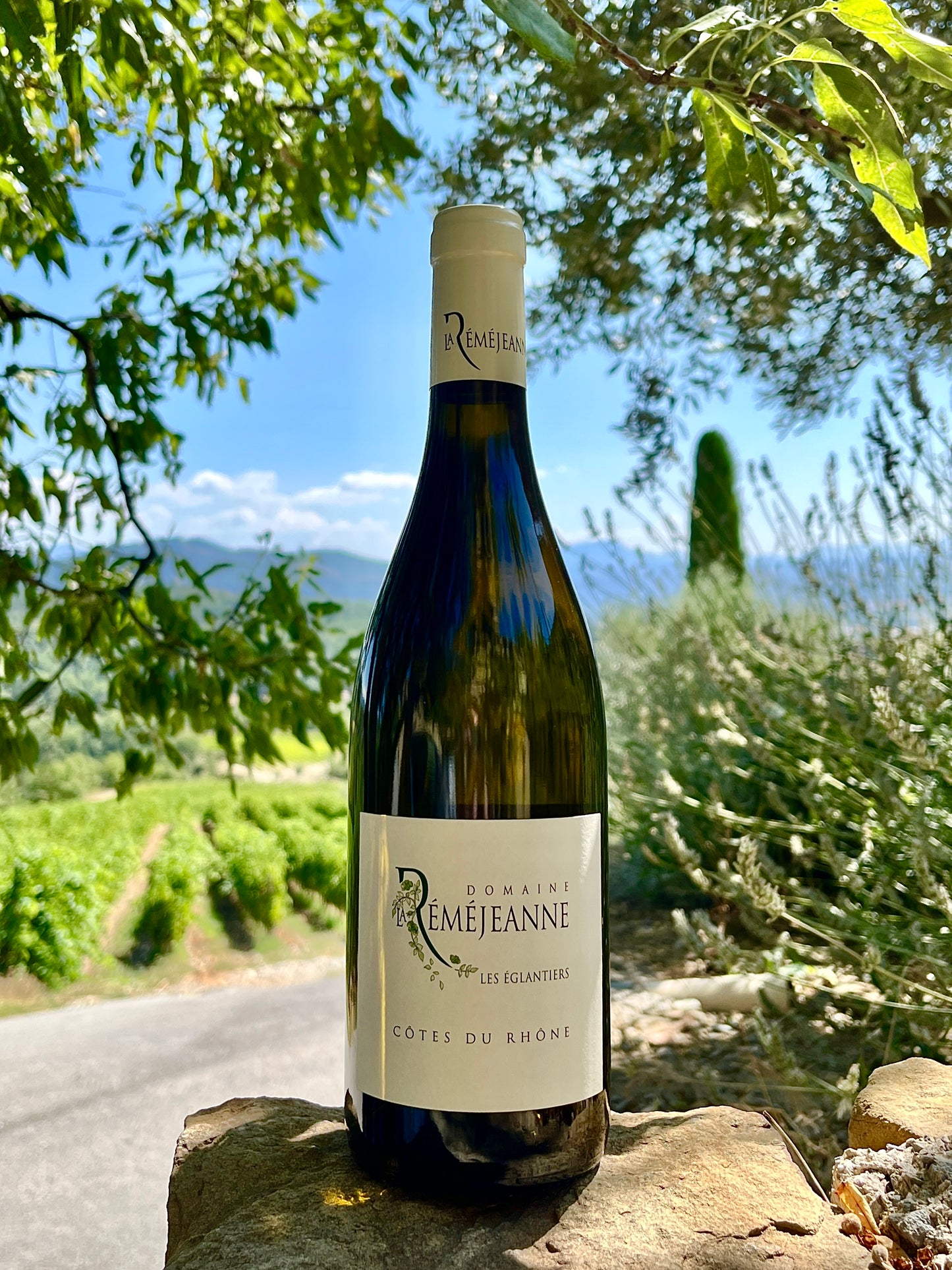 Domaine La Réméjeanne - Les Eglantiers Blanc 2023 (BIO)