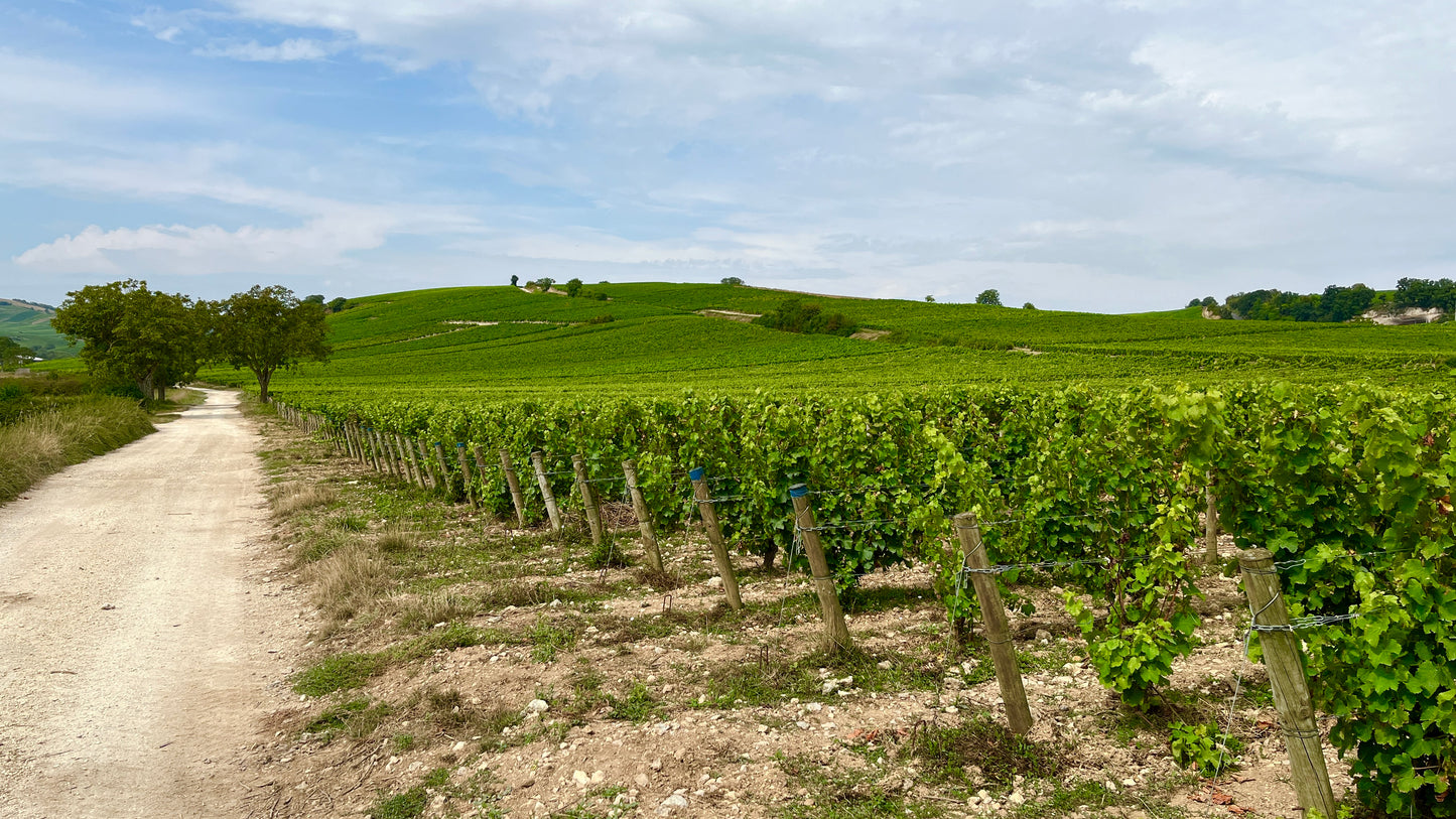 Pascal Jolivet Sancerre - Edition 2 Blanc 2022