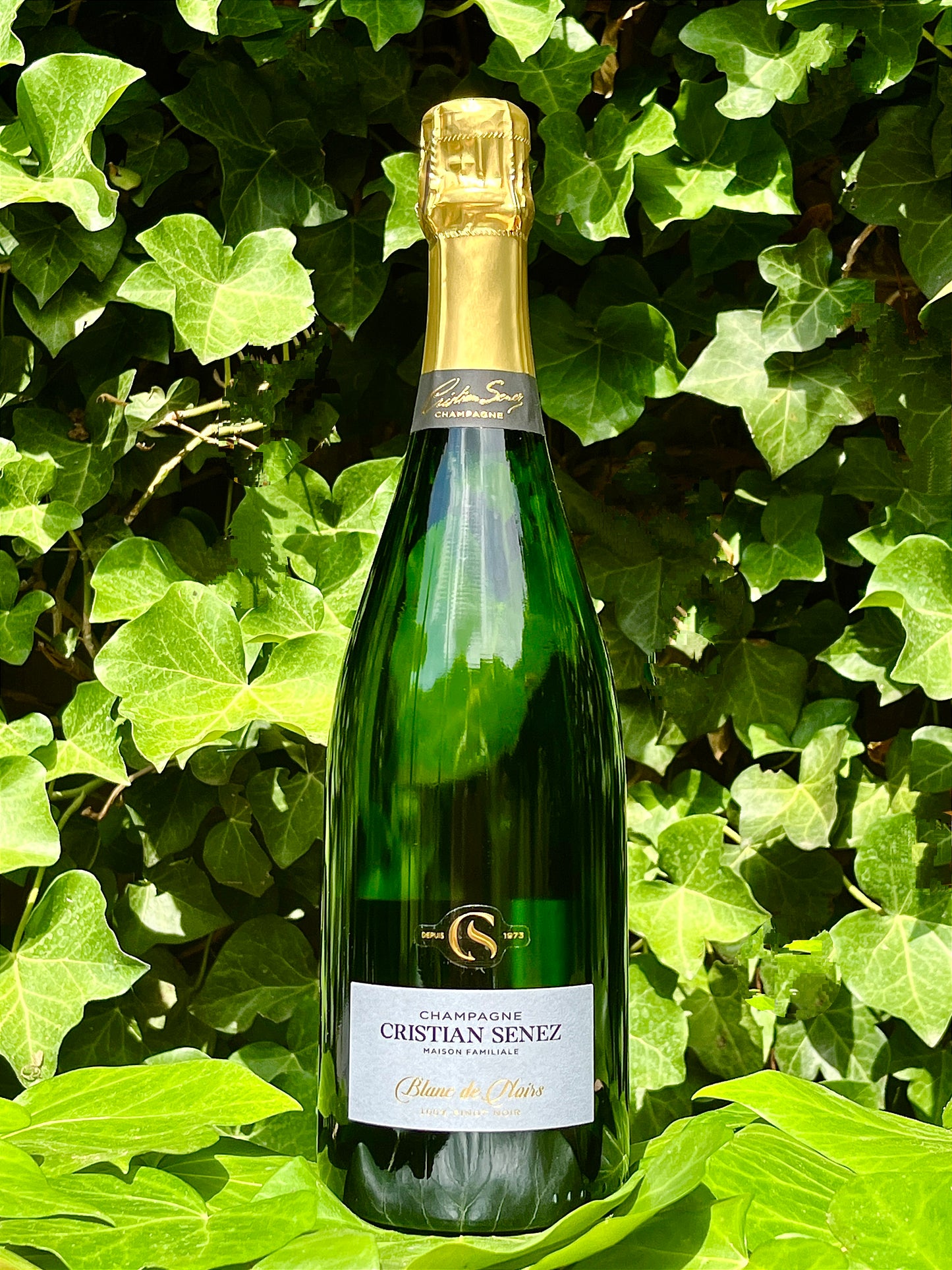 Maison Rivier - Champagne Senez Cuvée Blanc de Noirs