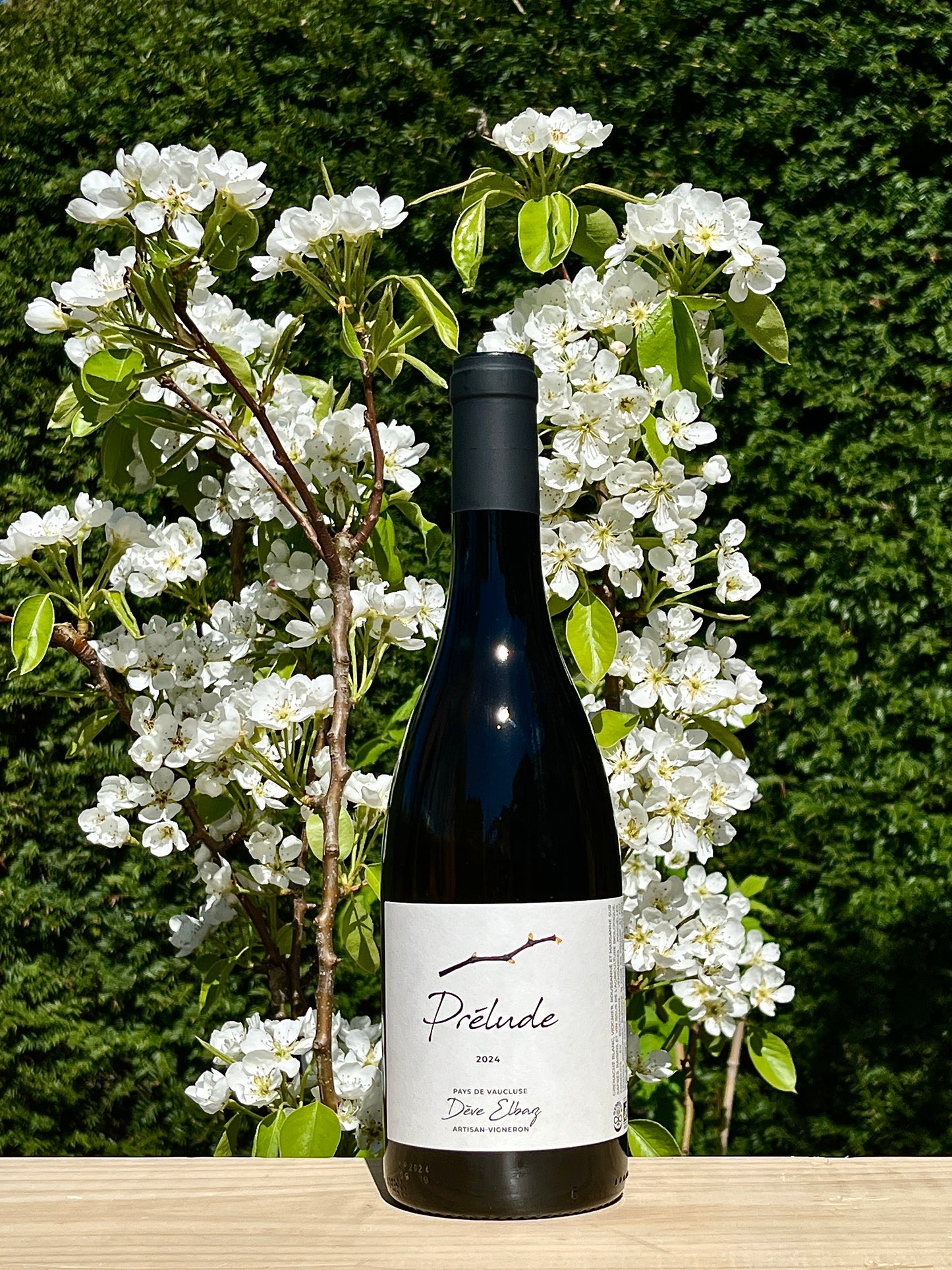 Dève Elbaz - Prélude 2024 Organic Demeter / Biodynamic