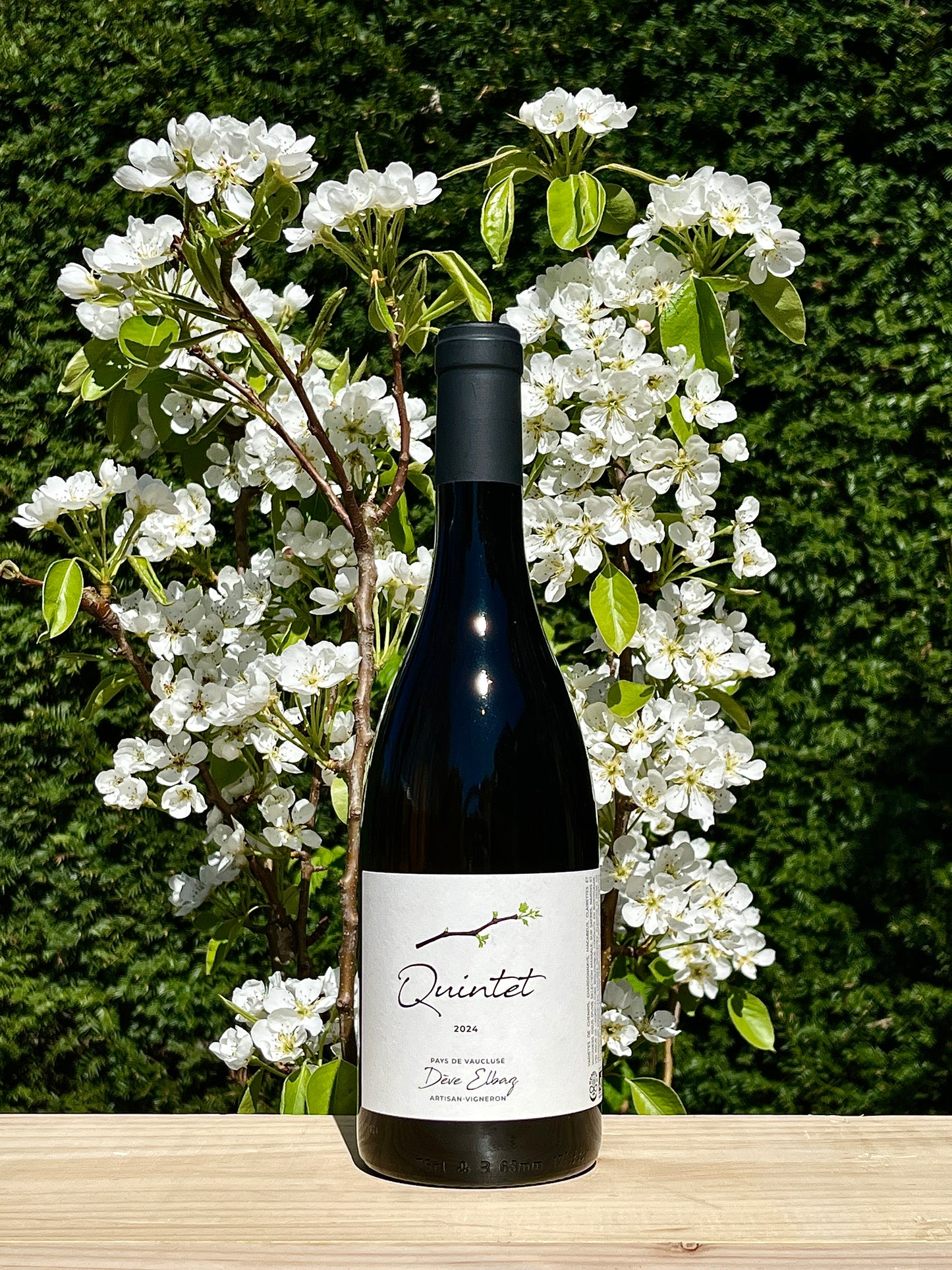 Dève Elbaz - Quintet 2024 Organic Agriculture / Demeter