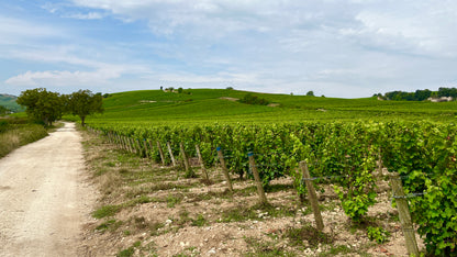 Pascal Jolivet Sancerre - Edition 2 Blanc 2022